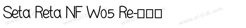 Seta Reta NF W05 Re字体转换